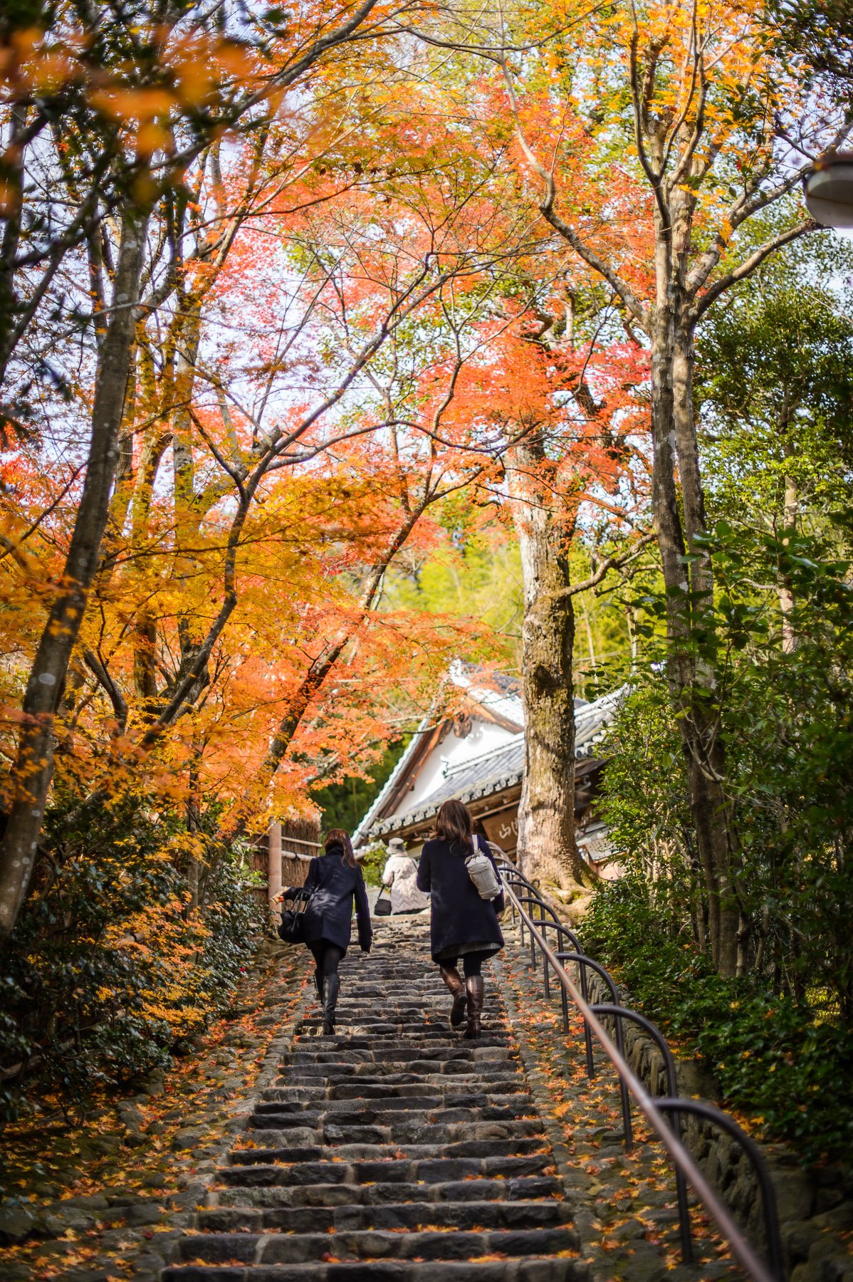 🦗 스즈무시데라(방울벌레 절) / 화엄사(케곤지) 이미지 6